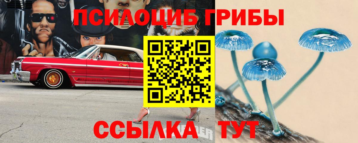 Петропавловск-Камчатский  Галлюциногенные грибы Magic Shrooms  где купить наркоту  Вход с VPN 